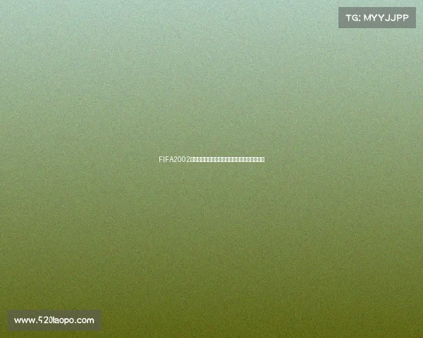 FIFA2002世界杯控制键操作全解析与实战技巧指南攻略版